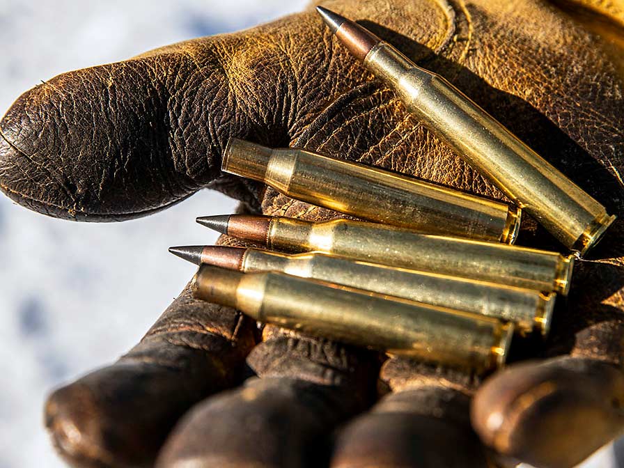 Several rifle bullets held in a gloved hand.