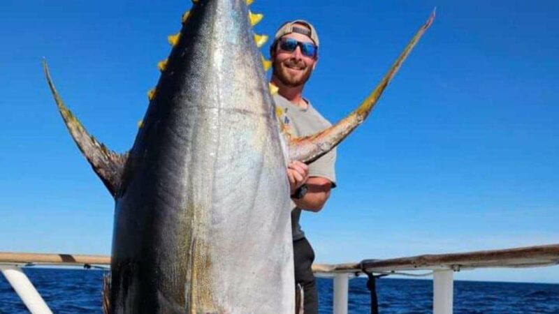 Angler Catches Likely World Record Yellowfin Tuna Off the Coast of Southern California 