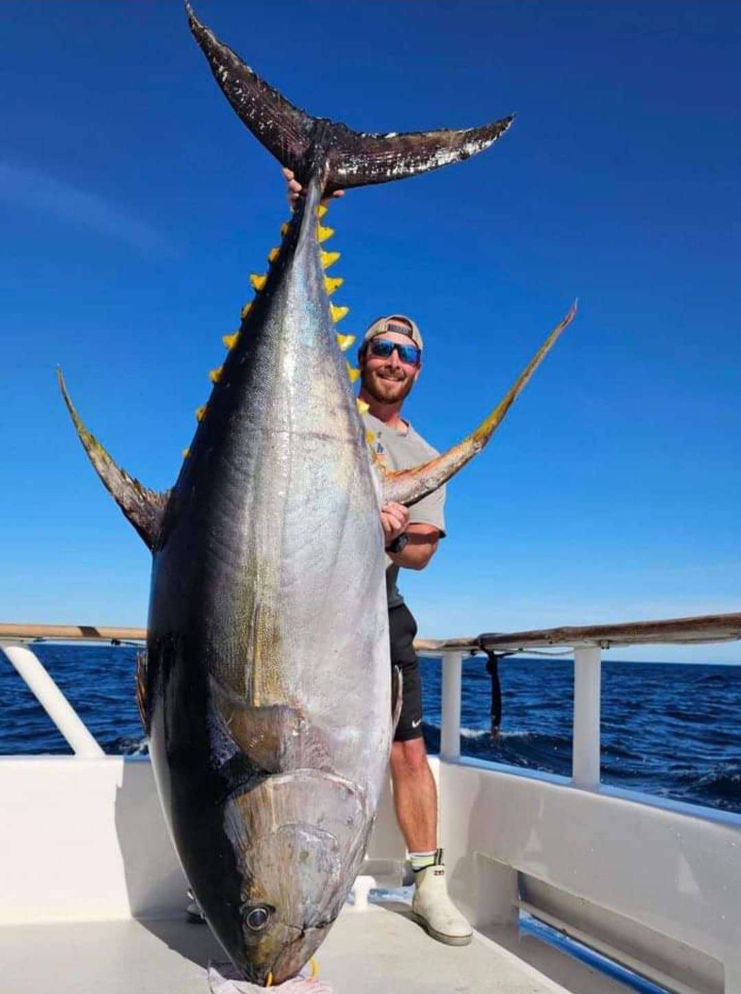 tuna fishing