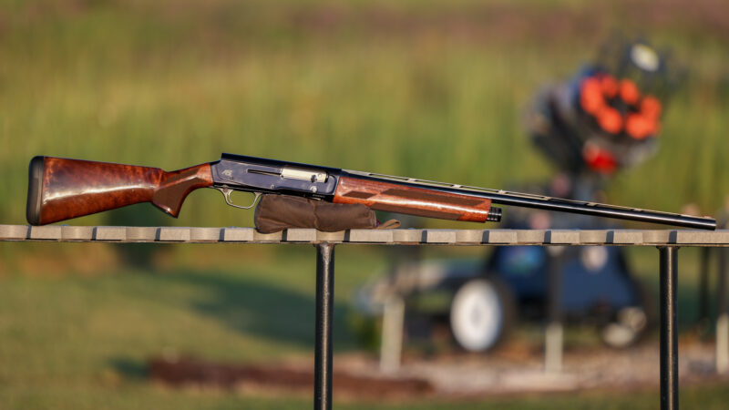 Browning A5 20 Gauge Review: A Light Do-It-All Shotgun with Classic “Humpback” Looks