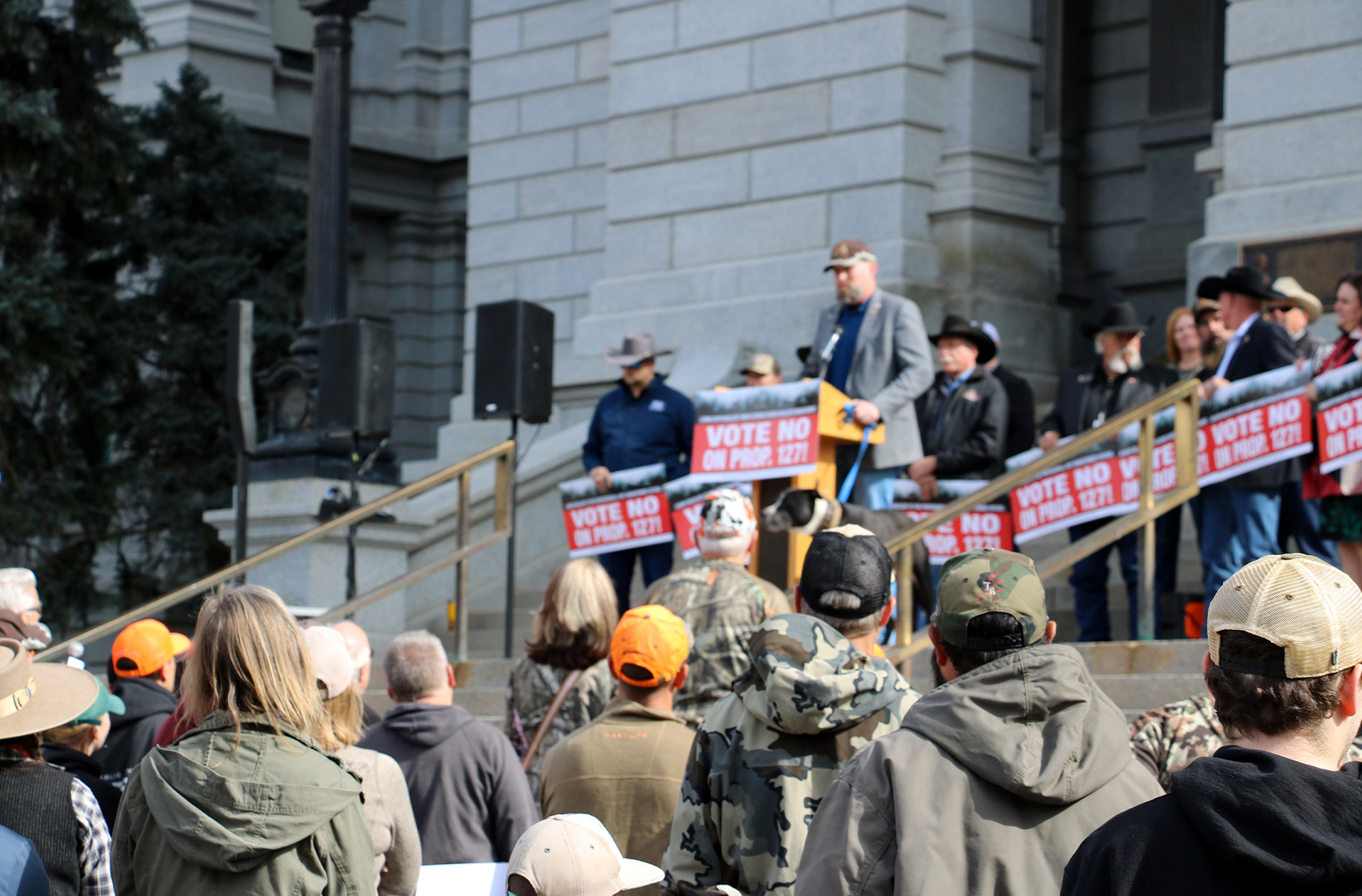 A rally against the cat hunting ban.