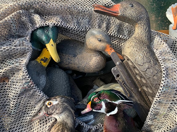 Devising a duck decoy plan: When, where, how many? – Outdoor News