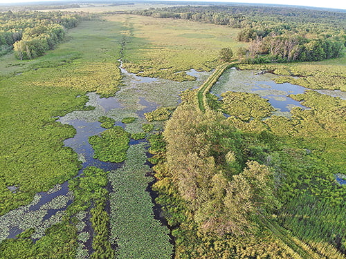 Drones open new frontier in Wisconsin waterfowl research – Outdoor News