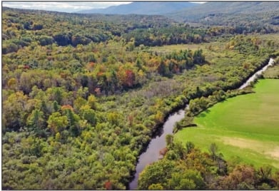 DU helps preserve 126 acres in New York’s Batten Kill watershed – Outdoor News