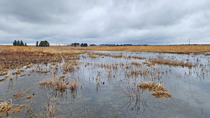 Ducks Unlimited, NRCS partner on Illinois wetlands – Outdoor News