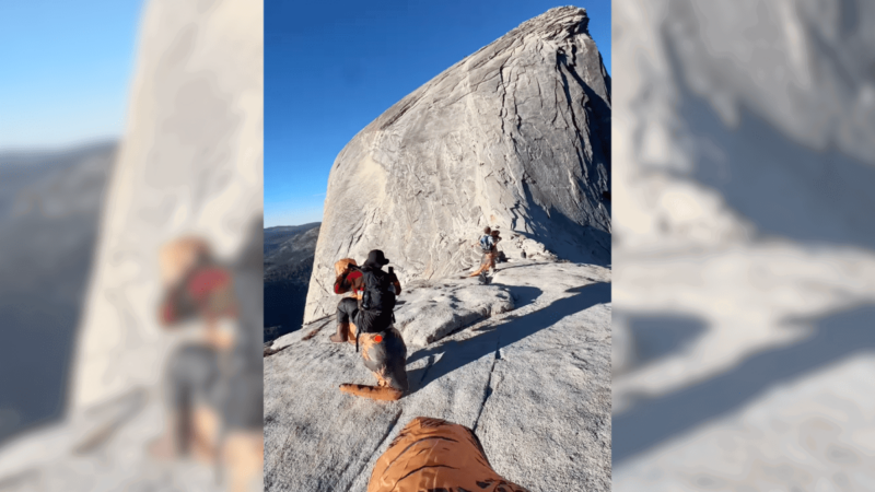 Friends Hiked Yosemite’s Half Dome in Inflatable Dino Costumes