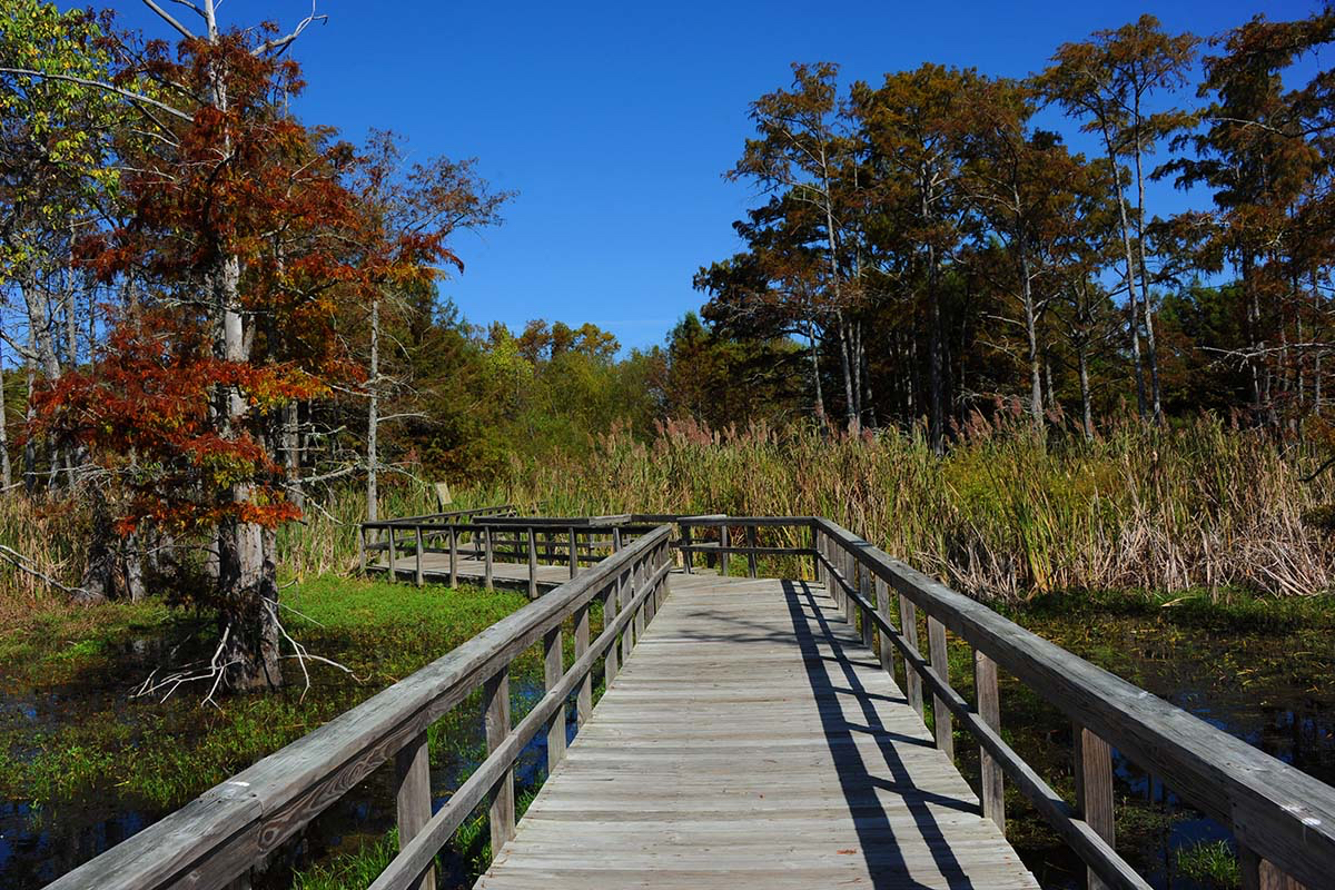 Ouachita RV Park