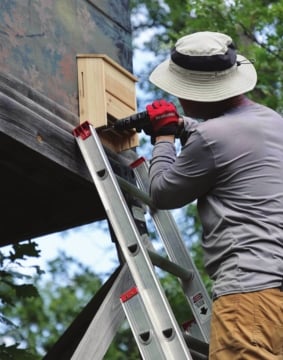 HBuild better housing for bat, birds to control pests and insects – Outdoor News