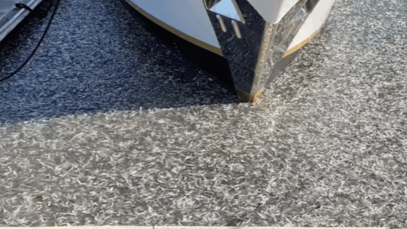 Holy Anchovies! Millions of Fish Swarm Marina in Monterey Bay