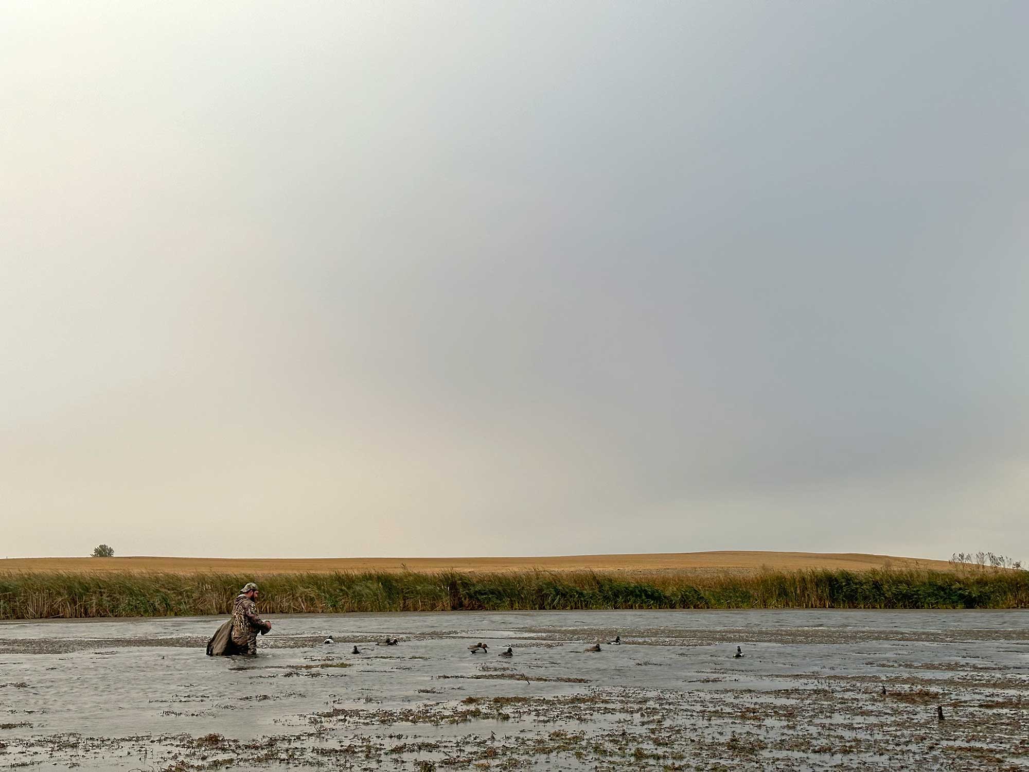 duck hunting decoys