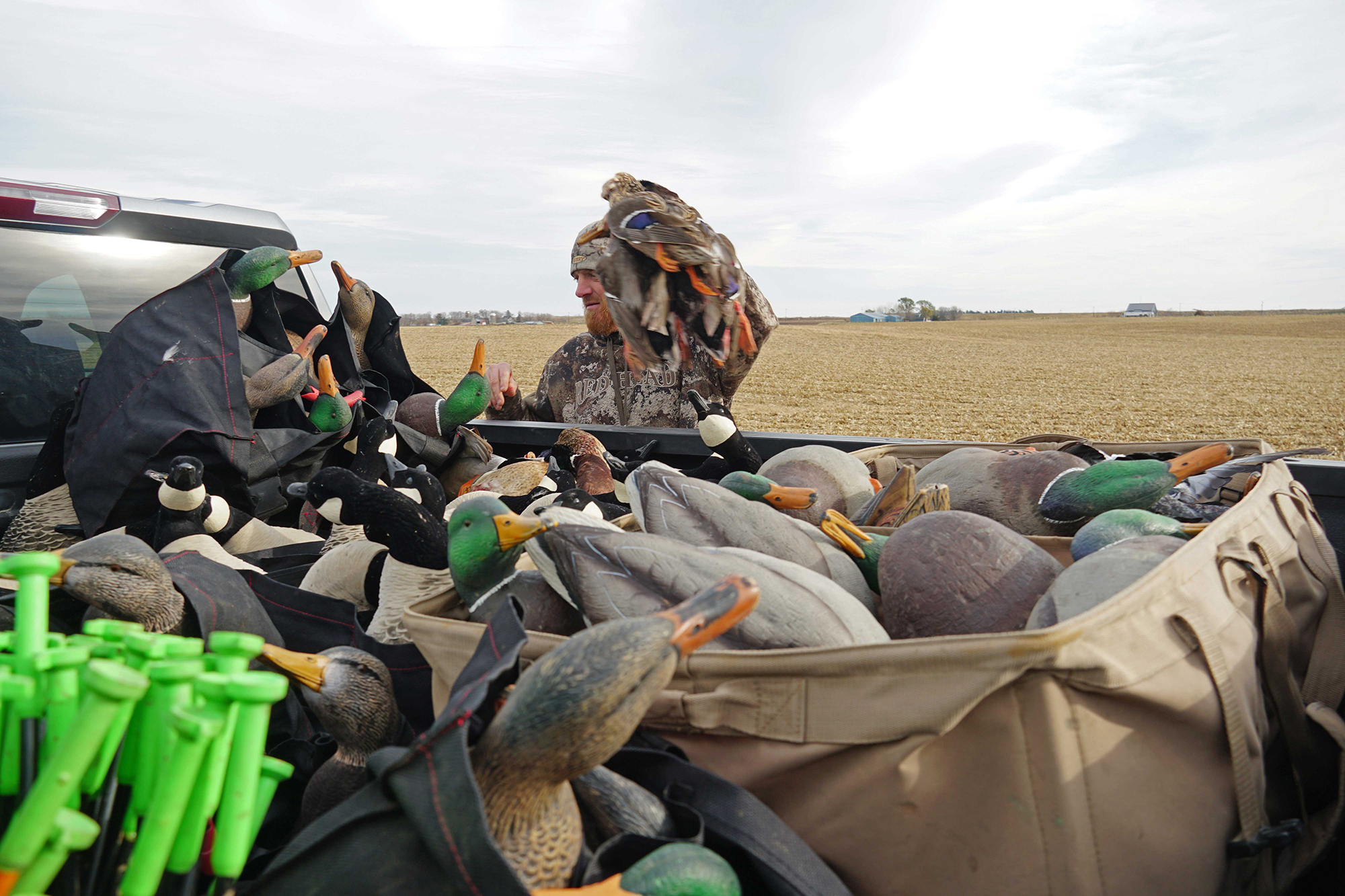 field decoys