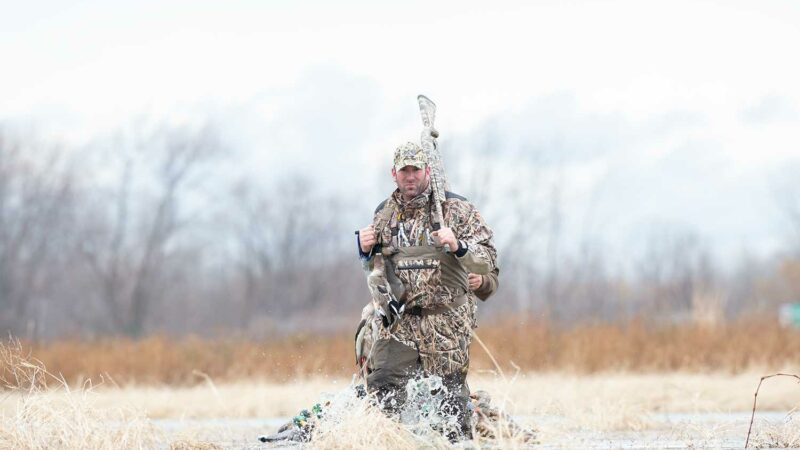 How to Decoy Ducks: Expert Tips and Tactics for Finishing Birds Close