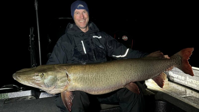 Huge Minnesota muskie from Mille Lacs’ depths reeled in – Outdoor News