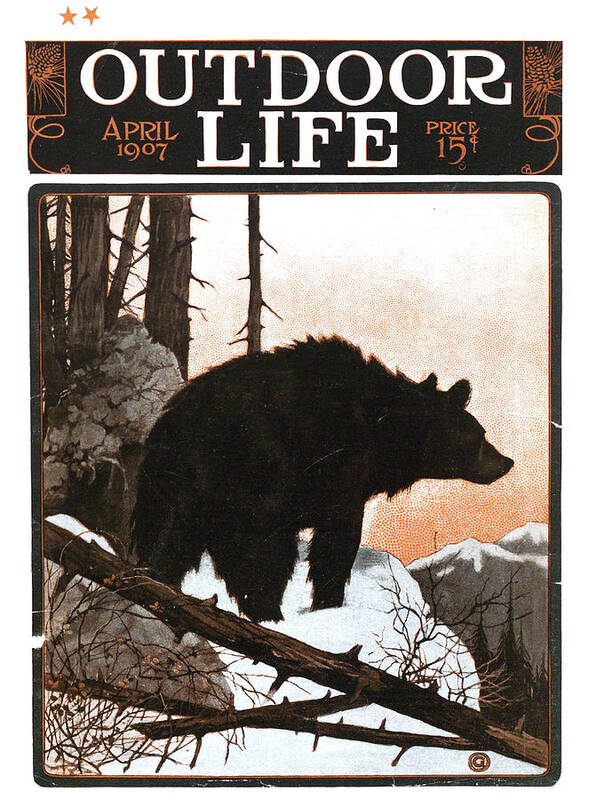 A black bear on the cover of Outdoor Life