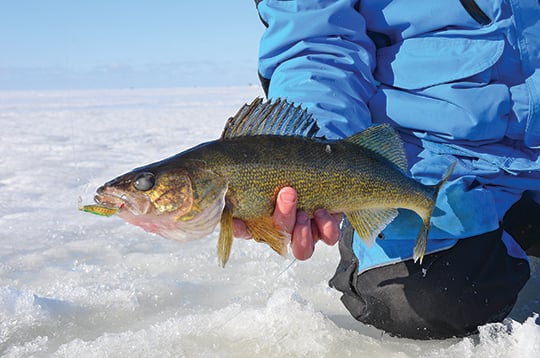 Ice-line technology: How’s it different from open-water lines? – Outdoor News