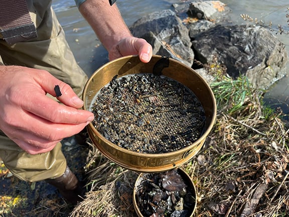 Invasive golden clams found in Lake Champlain’s South Bay in New York – Outdoor News