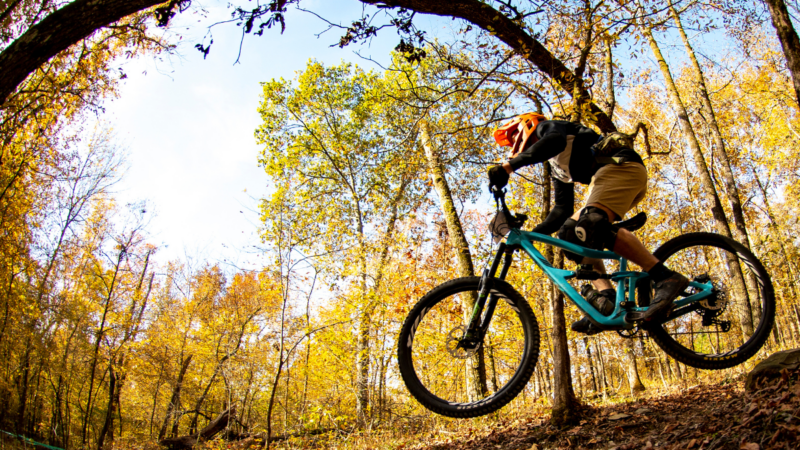 Is Mountain Biking Too Dangerous? Study Links Sport to Spinal Cord Injuries