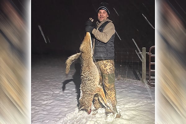 It’s easy to get hooked on coyote hunting in Pennsylvania – Outdoor News