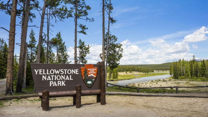 Man Gets Banned From Yellowstone for Making This Common Mistake