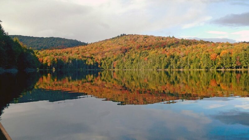 MN Daily Update: Get into state parks and recreation areas for free on Nov. 29 – Outdoor News