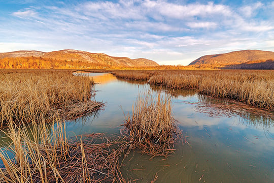 New York’s Hudson River beckons for December duck hunters looking for an adventure and a challenge – Outdoor News