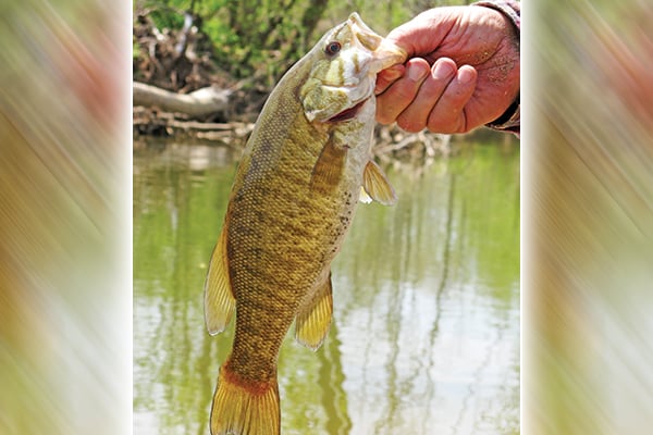 Ohio’s lesser known rivers hold plenty of promise, too – Outdoor News