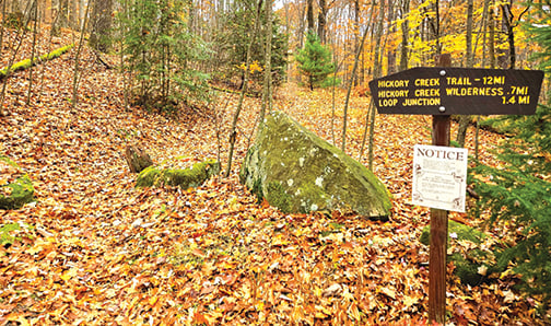 Pennsylvania celebrates 40th anniversary for Hickory Creek Wilderness area – Outdoor News