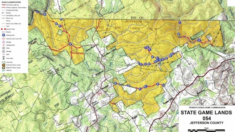 Pennsylvania’s State Game Land 54 is a massive tract with huge possibilities – Outdoor News