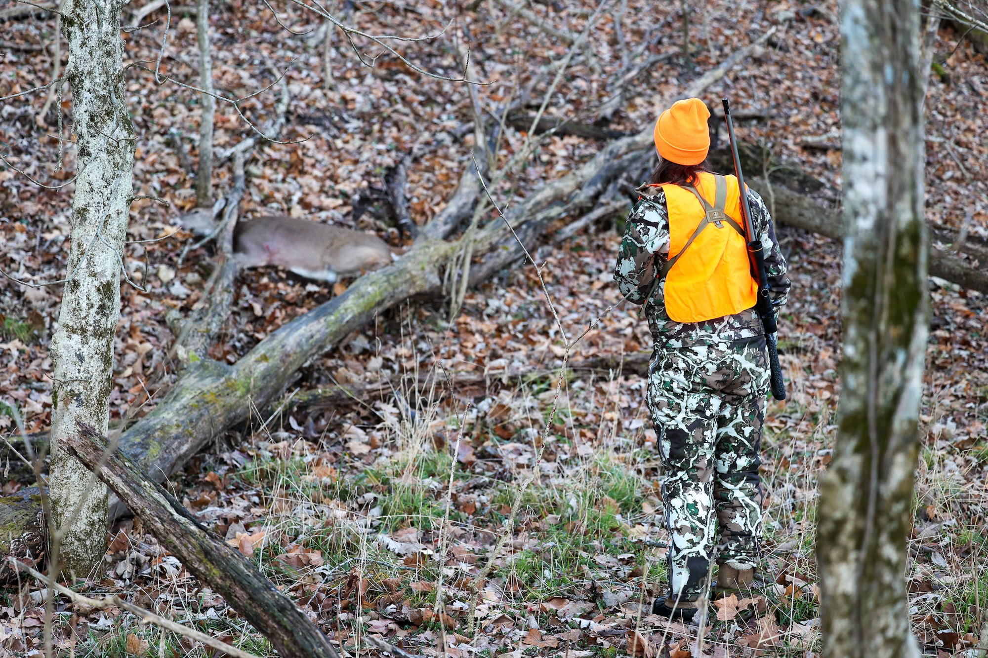 A hunter spots her deer in the woods.