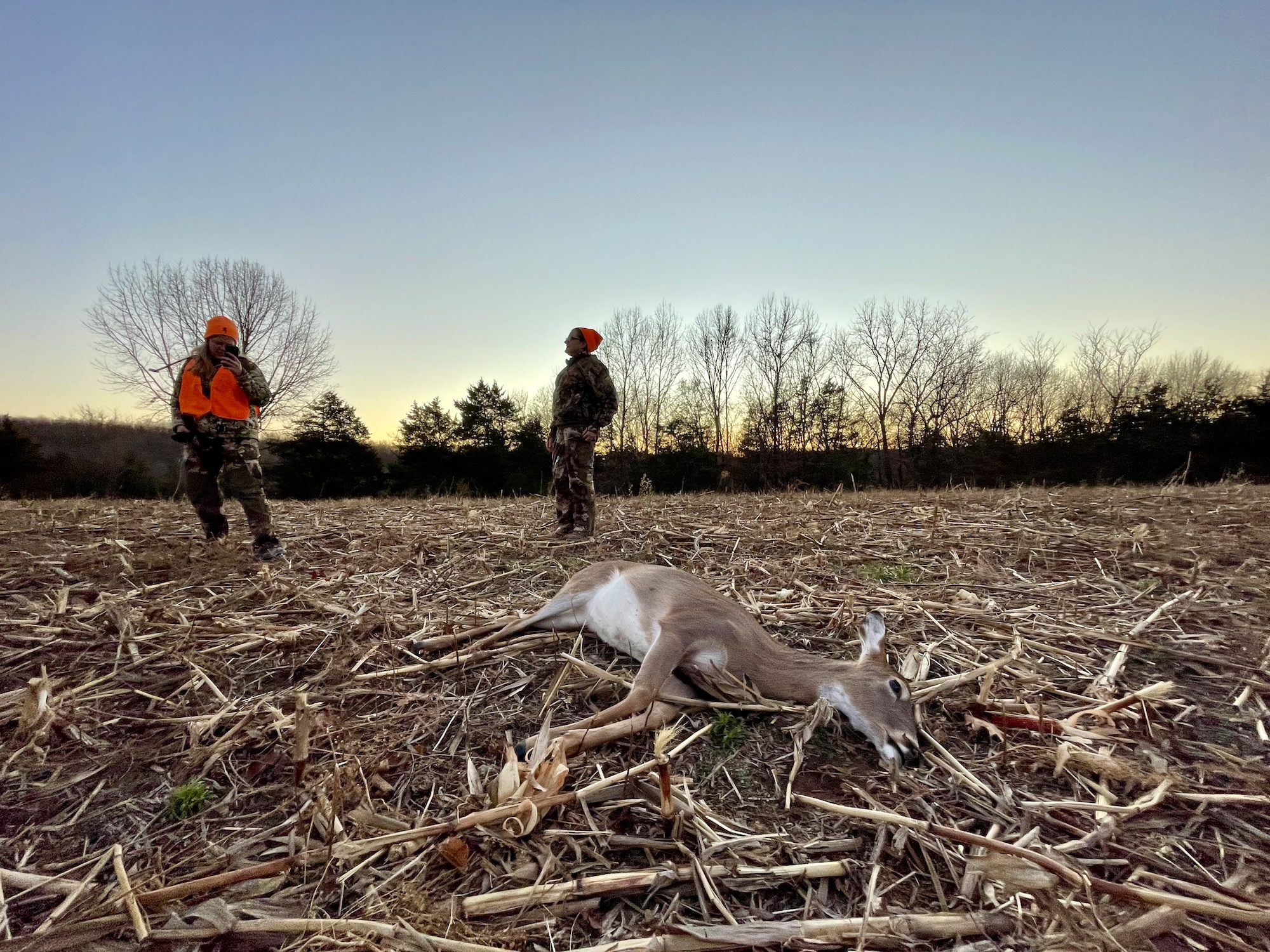 A hunter photographs a deer in a corn field.