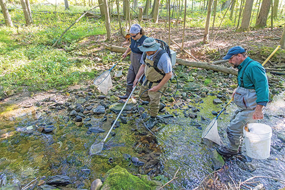 Rare native brook trout the subject of ongoing study in Ohio – Outdoor News