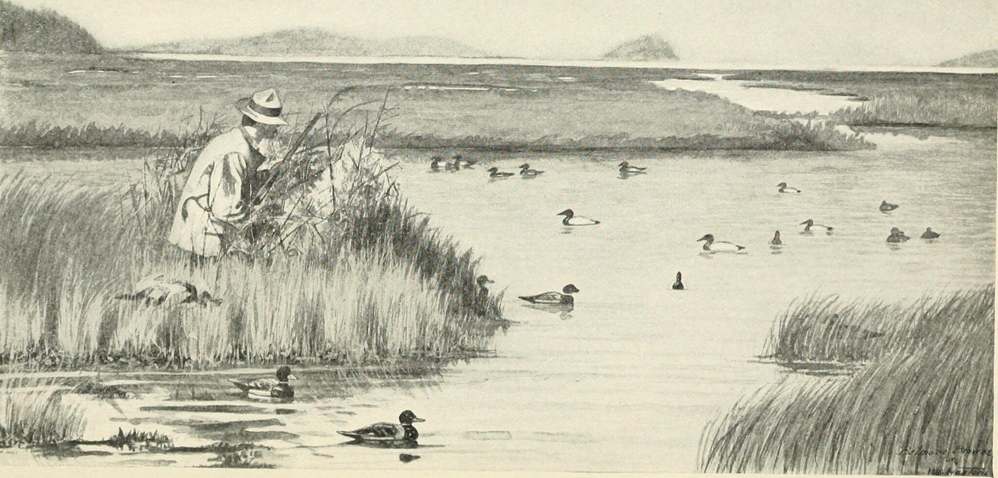 An old black and white book illustration of a hunter hiding in marsh grass watching over a spread of duck decoys. 