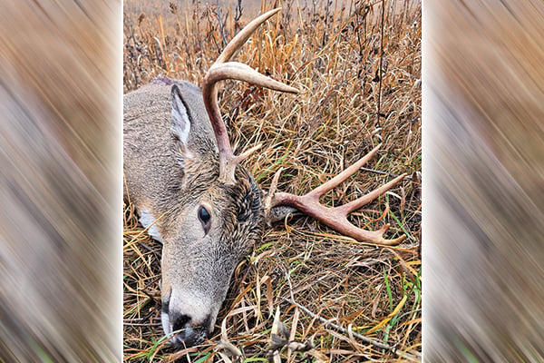 Ryan Rothstein: A baby and a buck make for a Minnesota deer season like no other – Outdoor News