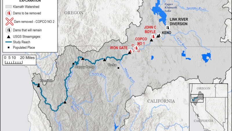 Salmon Are Returning to the Undammed Upper Klamath River Even Sooner than Expected