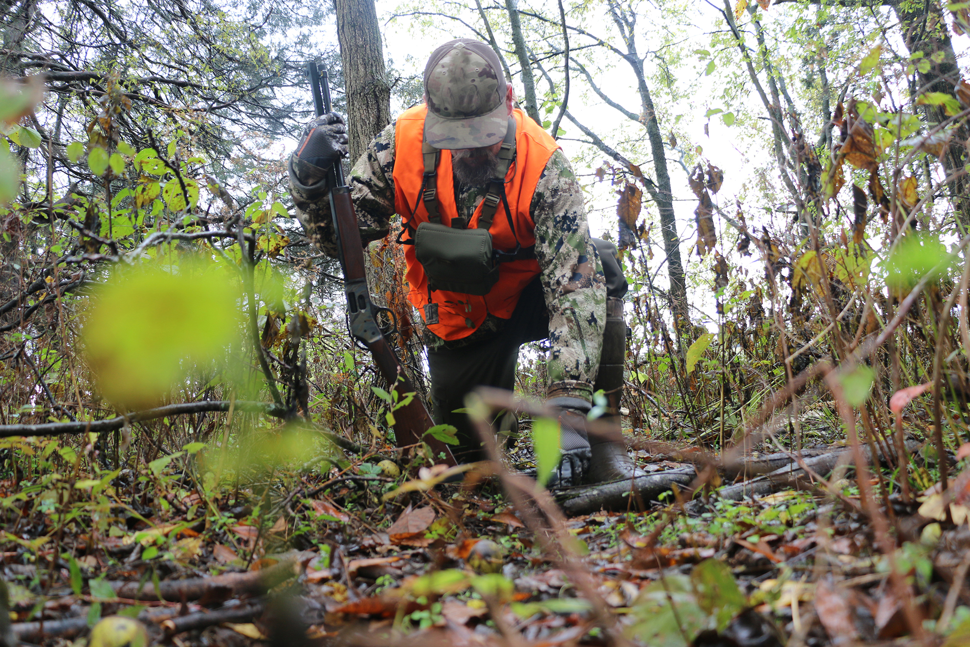 buck bedding area