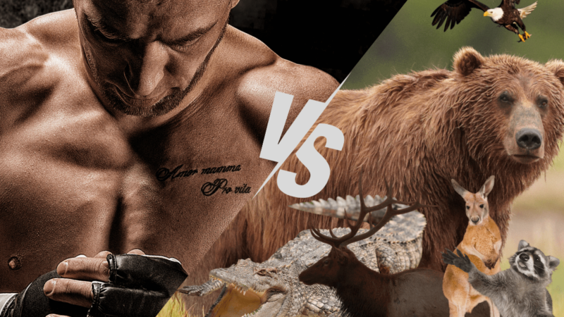 Survey Reveals UFC Fans Are Most Afraid to Fight THIS Animal