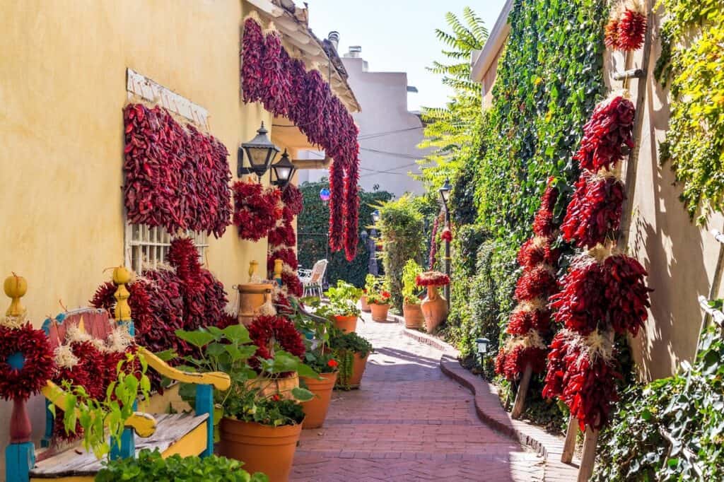 View of chiles drying in scenic Albuquerque, New Mexico. 