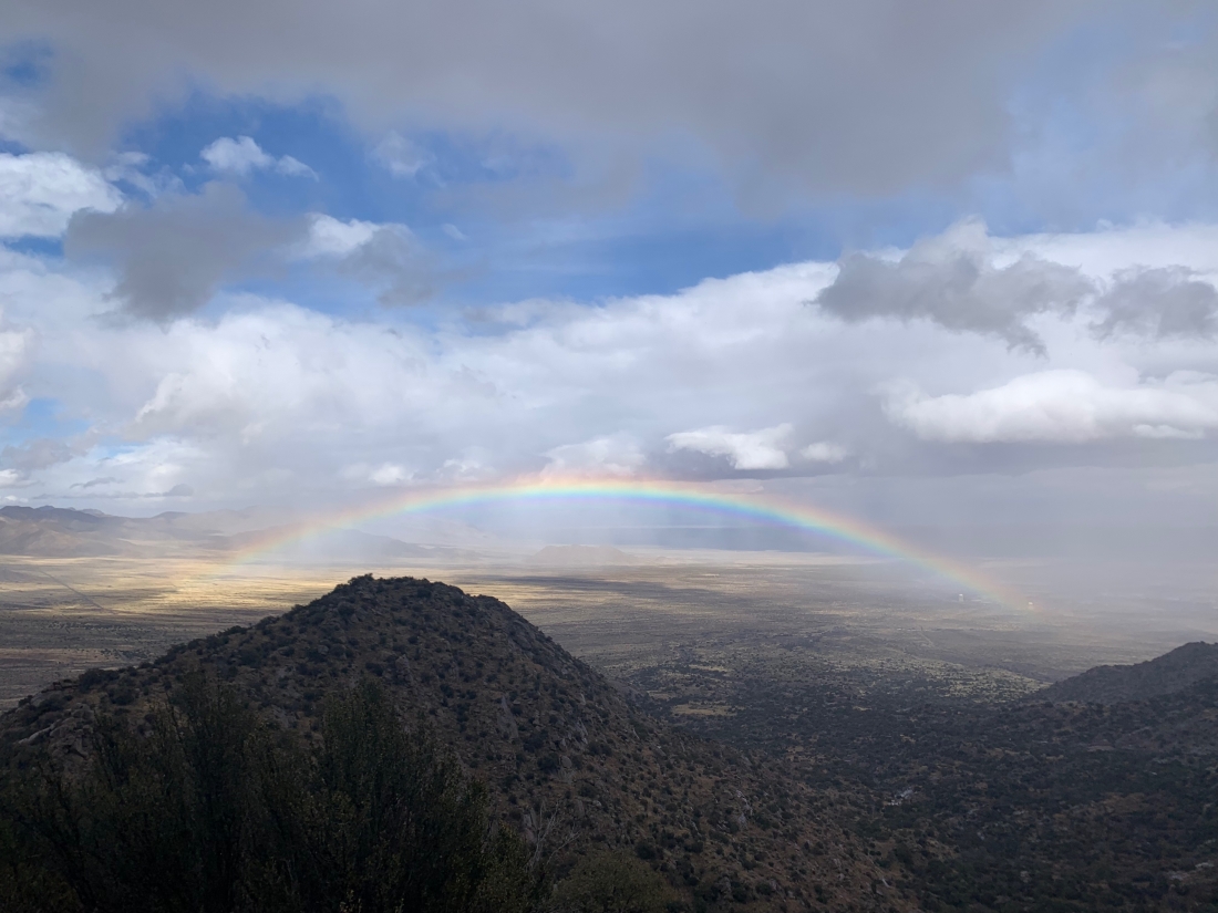 Las Cruces New Mexico