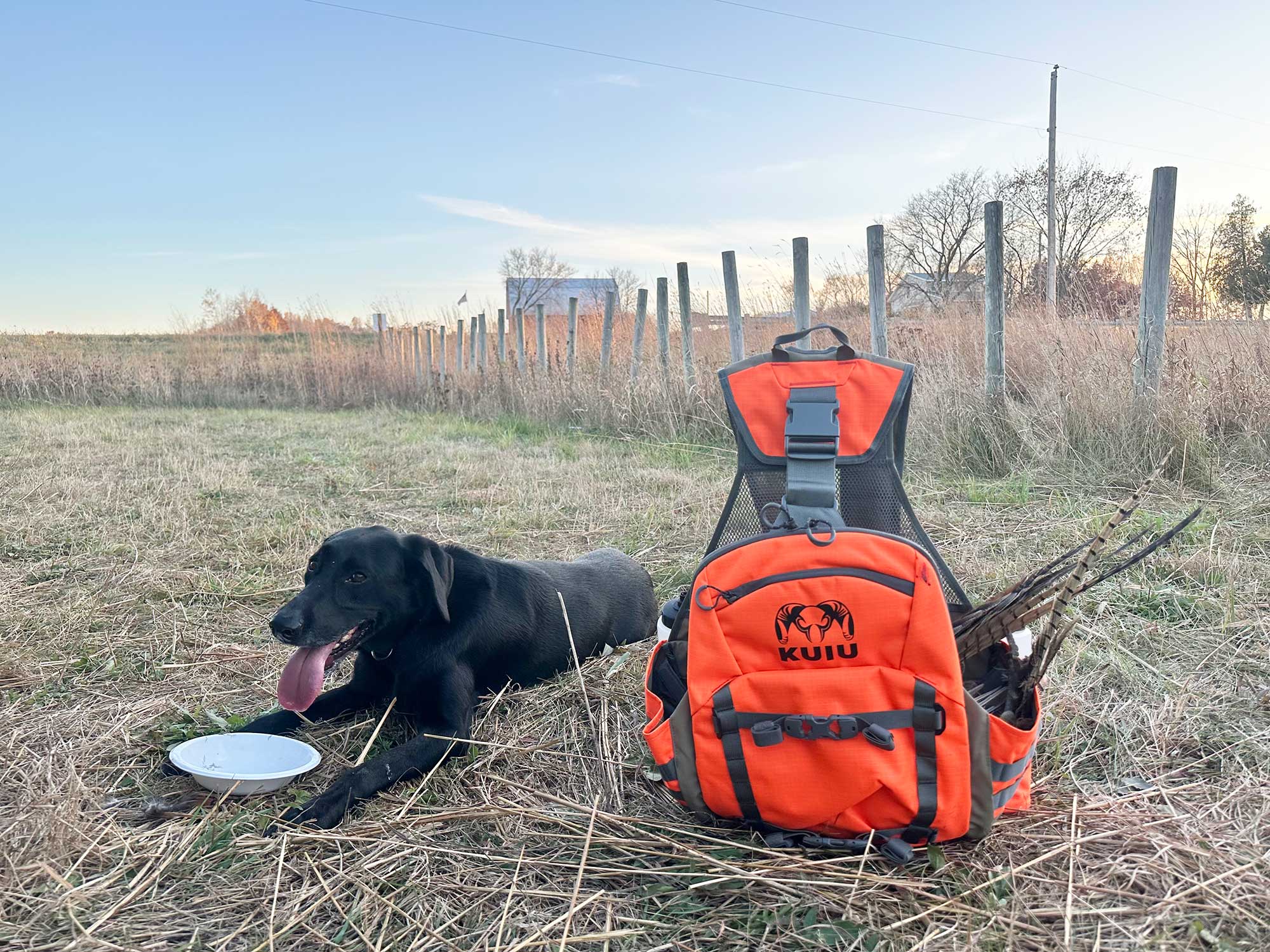 kuiu field vest