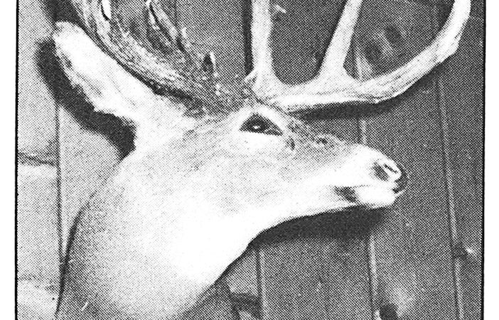 The Mystery of the Ahrens Buck, a World-Record Whitetail That Vanished