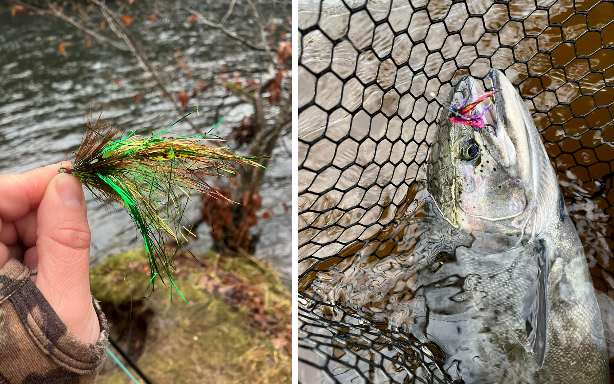 Two pictures of flies that work well for steelhead.