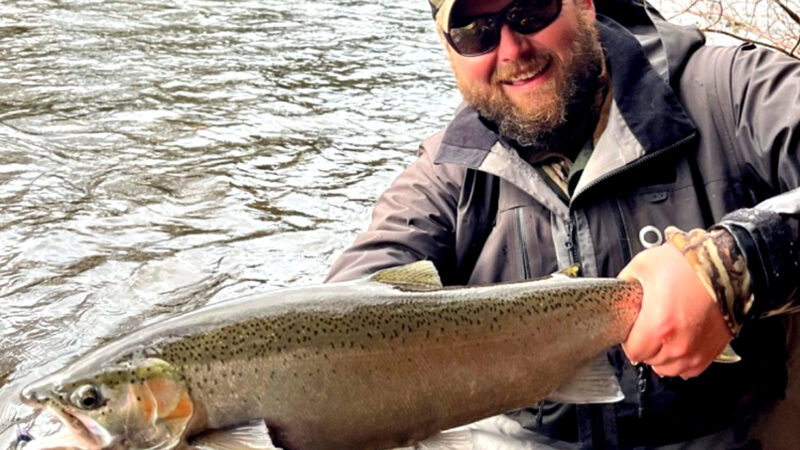 The Pain and the Glory: How to Swing Flies for Great Lakes Steelhead