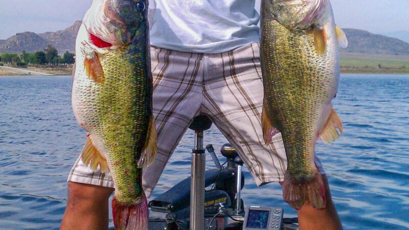 This Diehard Bass Angler Wants You to Kill More Largemouths — for Better Fishing in the Future