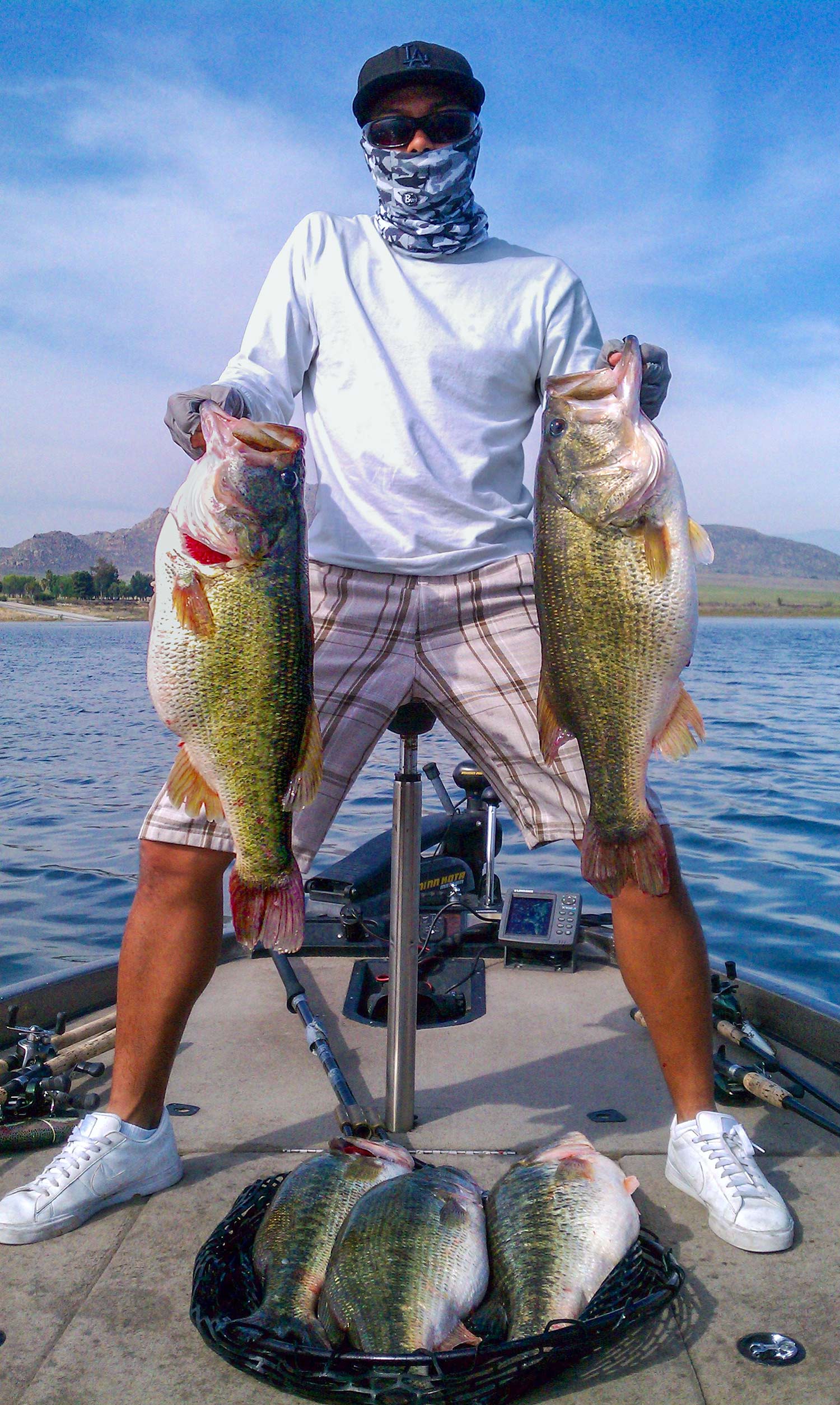 Fisherman standing on boat deck holds up two large bass, with three more at his feet on a net