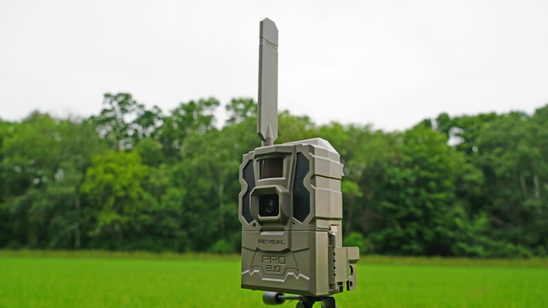 Trail Camera Deals: Save $40 on Tactacam, Moultrie, and More