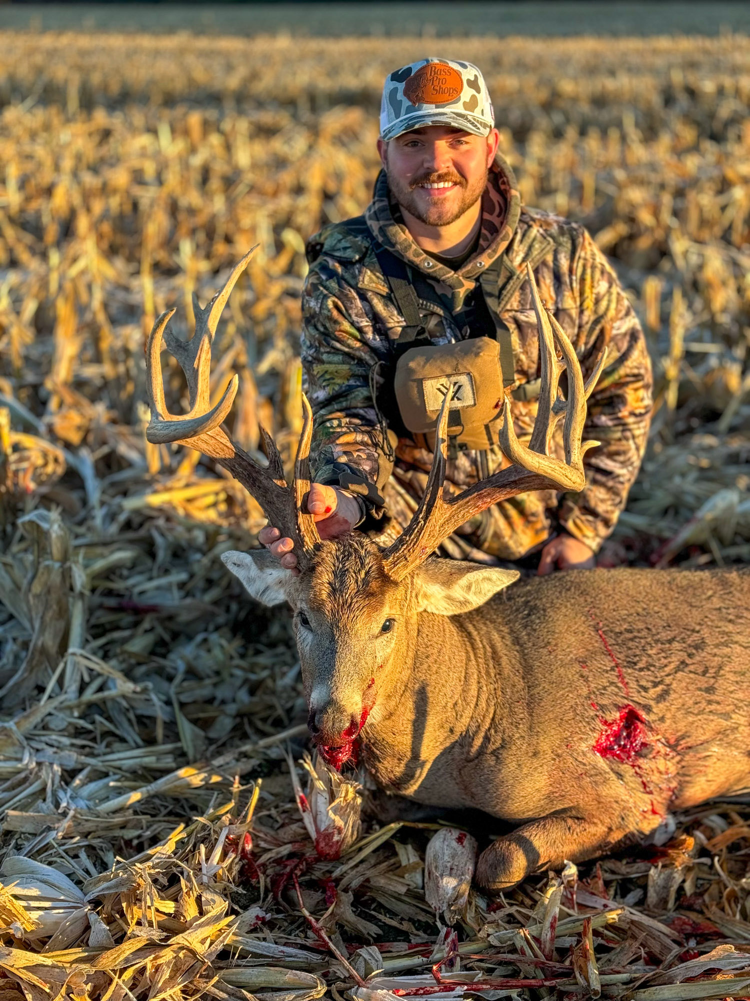 A bowhunter in the corn with a giant deer.