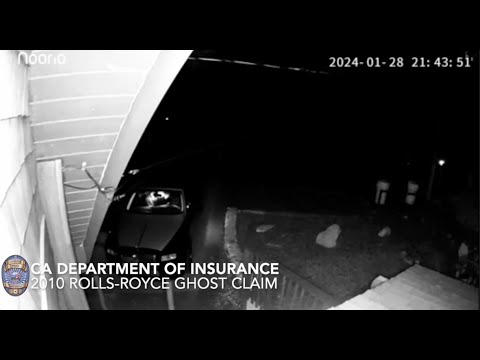 Watch: Insurance Companies Paid Out Thousands After a Bear Broke in to Luxury Cars. It Was Clearly a Person in a Bear Suit