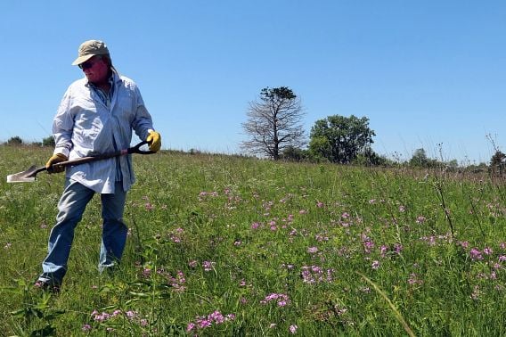 WI Daily Update: State natural areas volunteer of the year honored – Outdoor News