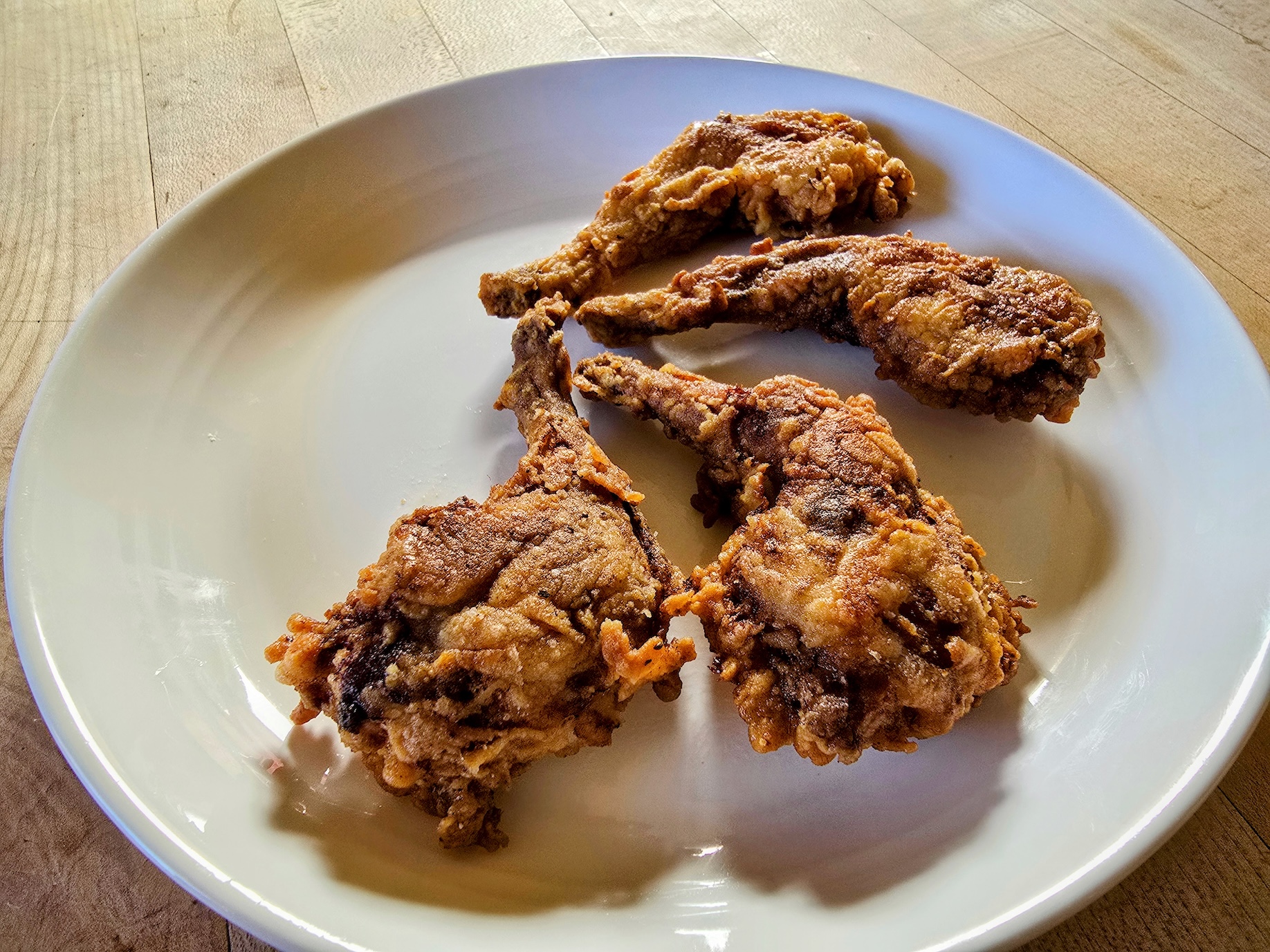 Four pieces of fried squirrel sit on a white dinner plate.