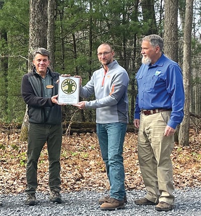 Cameron County, Pa., tract inducted into old-growth network – Outdoor News